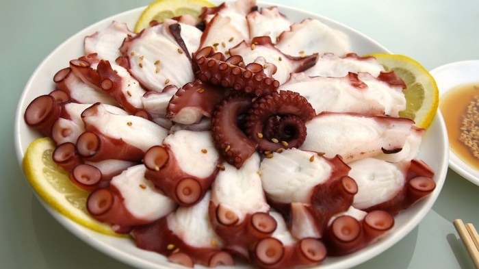 How to cook octopus japanese style